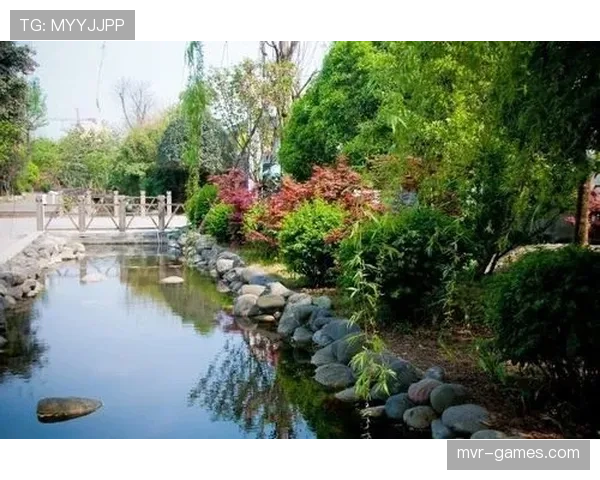 布鲁塞尔持续推进环保计划，助力城市可持续发展